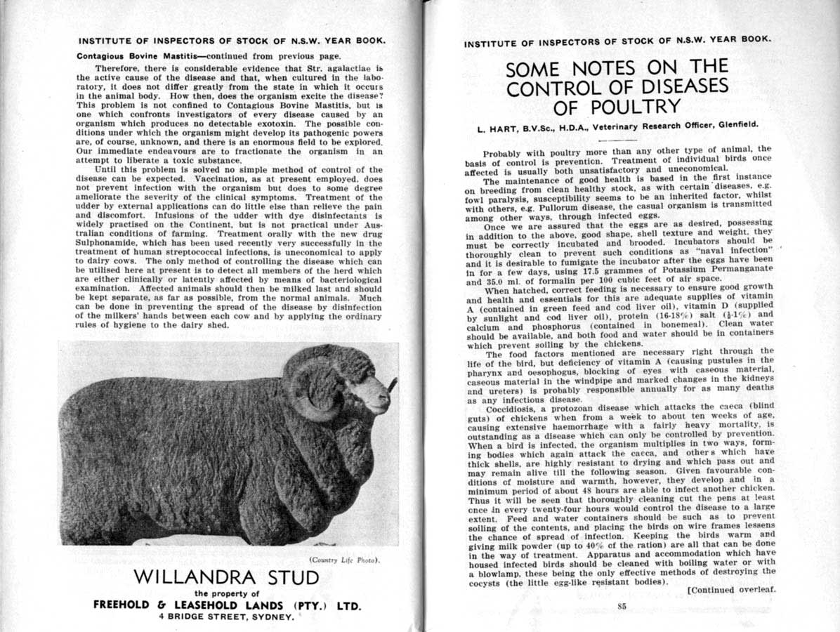1938 Page 84 85
